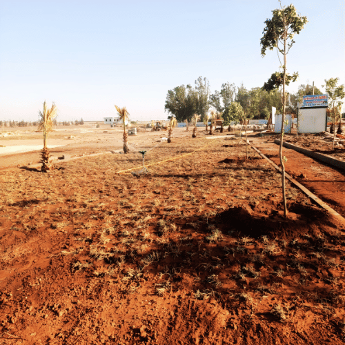 الصفحة الرئيسية المعتمدة 1